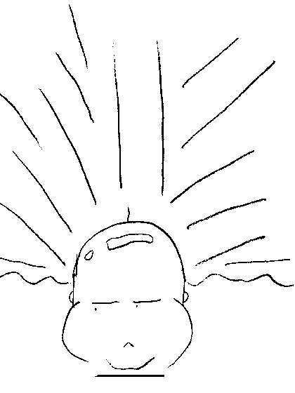 imh029.jpg 26.5kb 420x560pixel
