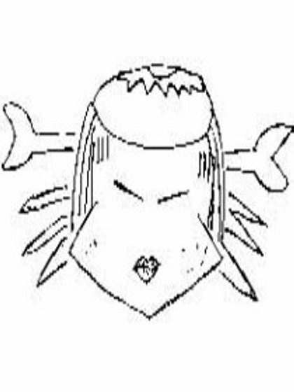 tkh002.jpg 25.1kb 420x560pixel