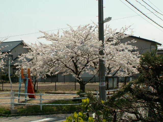 img14.jpg 175.0kb 320x240pixel