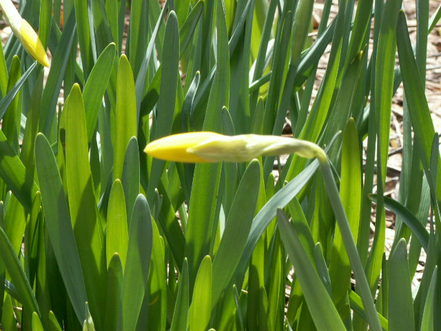 img16.jpg 154.1kb 320x240pixel