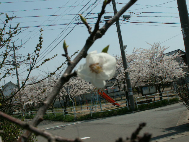img27.jpg 164.2kb 320x240pixel
