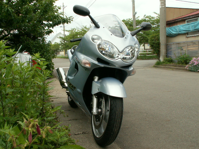 img31.jpg 265.3kb 320x240pixel