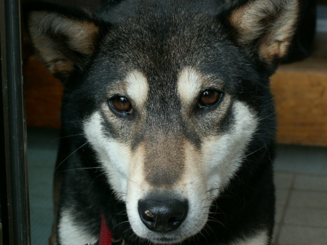 img32.jpg 214.6kb 320x240pixel