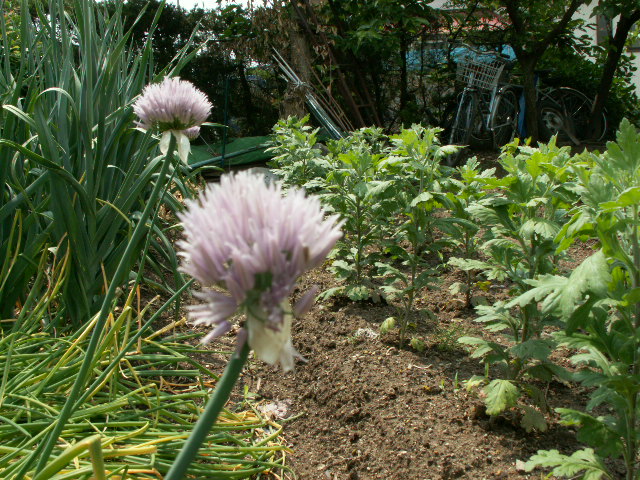 img38.jpg 210.4kb 320x240pixel