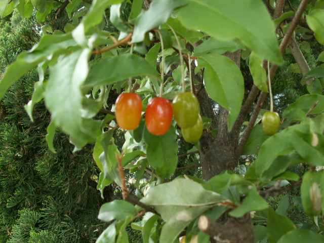 img39.jpg 257.8kb 320x240pixel