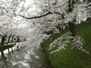 img44.jpg 74.3kb 320x240pixel