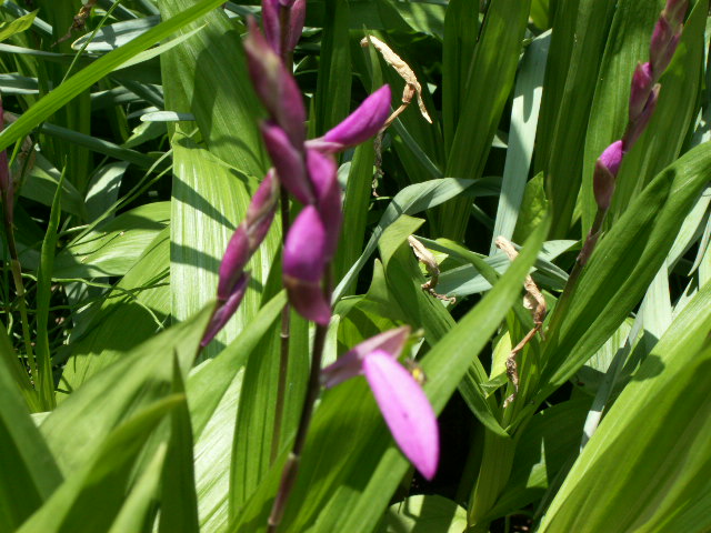 img7.jpg 157.1kb 320x240pixel