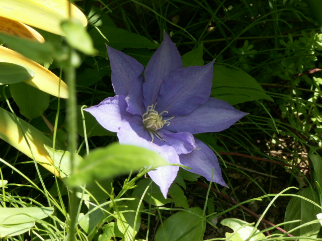 img8.jpg 154.1kb 320x240pixel
